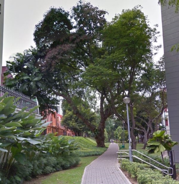 Duxton Plain Park Near To TMW Maxwell